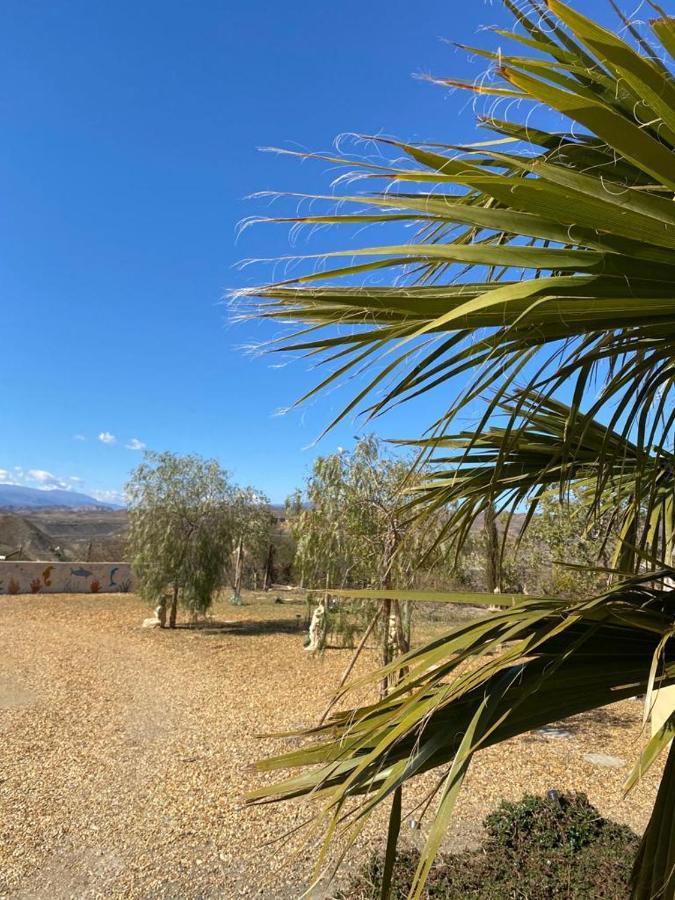 Oasis Montana Peace In Tabernas Desert Exterior photo
